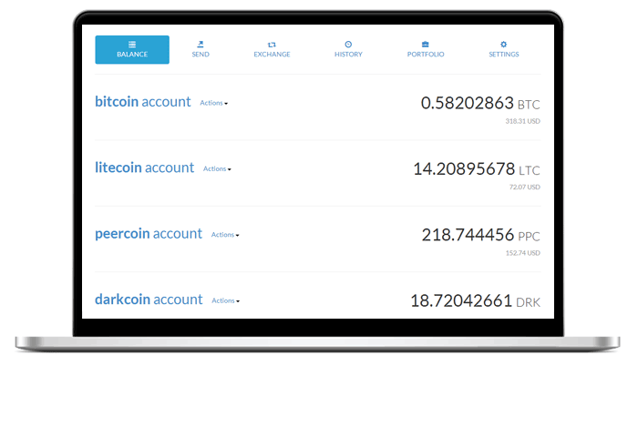 Multi-wallet-1